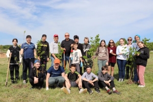 У Шаркаўшчыне з'явілася Алея міру і стварэння