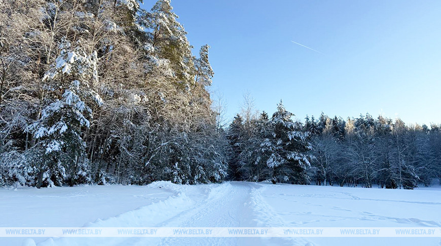 Кратковременный снег и порывистый ветер. Какой будет погода в Беларуси 4 февраля 