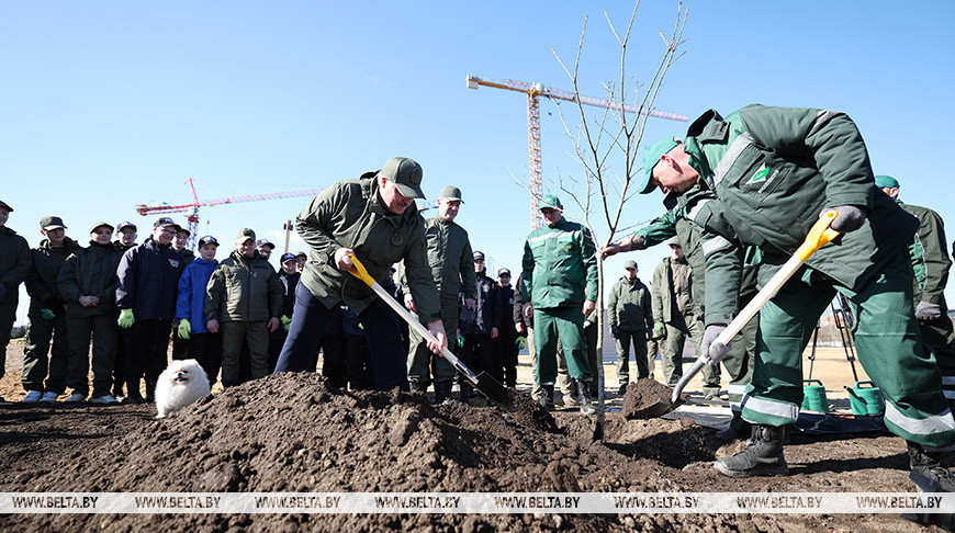 Lukashenko plants first tree in People’s Unity Park 