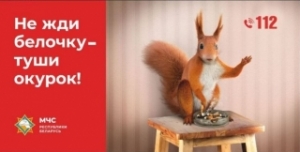Информационно-пропагандистская кампания МЧС «Не жди белочку – туши окурок!» стартует в Беларуси