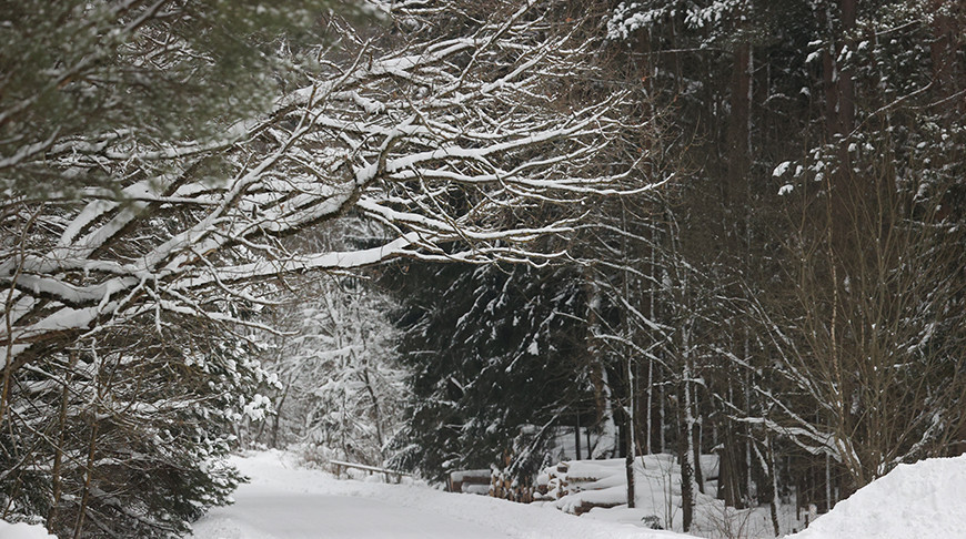 Метели, снежные заносы, гололедица. Синоптики рассказали о погоде на 9-14 января