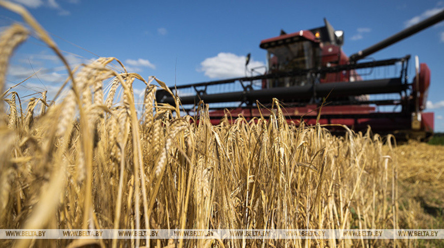 MP: Due to its potential in agriculture, Belarus can gain a foothold in many markets