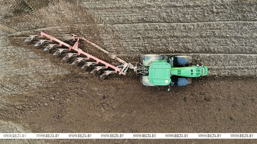 ‘Work day and night’: Lukashenko demands farmers finish fieldwork on time