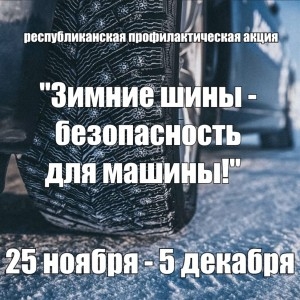 З 25 лістапада па 5 снежня Дзяржаўтаінспекцыя праводзіць рэспубліканскую прафілактычную акцыю