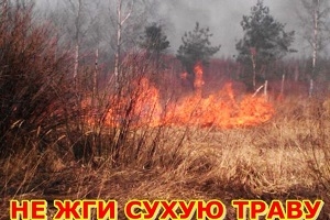 Не жгите сухую траву!