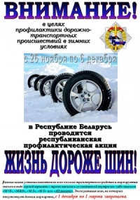Республиканская профилактическая акция «Жизнь дороже шин!»