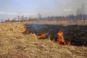 Выжигание
сухой растительности