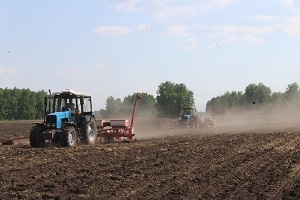 Пасяўная кампанія