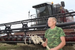 Руплівая праца зоркаўскіх хлебаробаў
