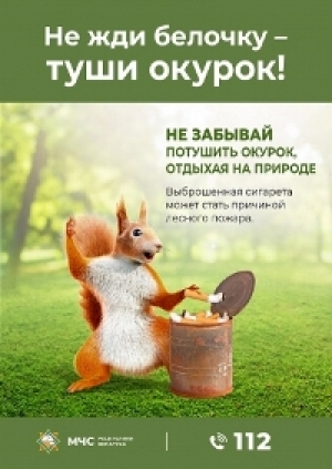 Правила безопасного отдыха в лесу