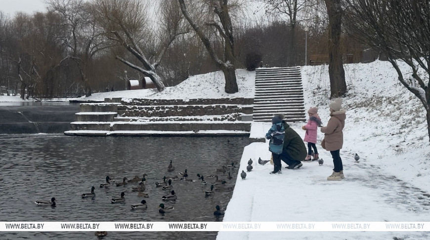 Морозы, снег и гололедица. Синоптики рассказали о погоде в Беларуси в большие выходные