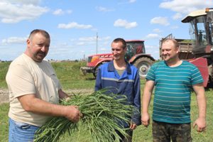 Корманарыхтоўка ў Шаркаўшчынскім раёне набірае абароты