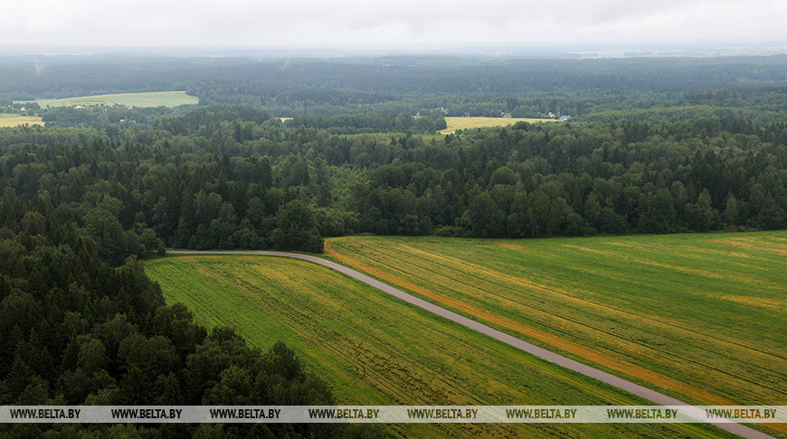 Lukashenko: Belarus will prohibit repurposing of agricultural land
