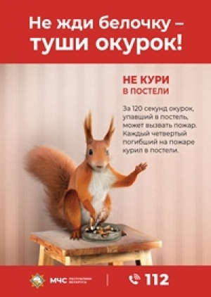 В рамках информационно-пропагандисткой кампании «Не жди белочку – туши окурок!» спасатели напоминают