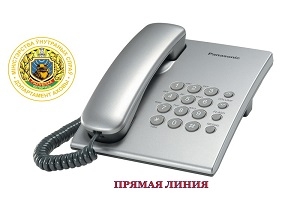 Прамая лінія з начальнікам Віцебскага абласнога ўпраўлення Дэпартамента аховы