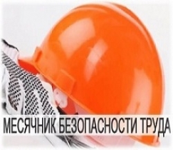 О результатах месячника по обеспечению безопасности, условий и охраны труда в организациях АПК