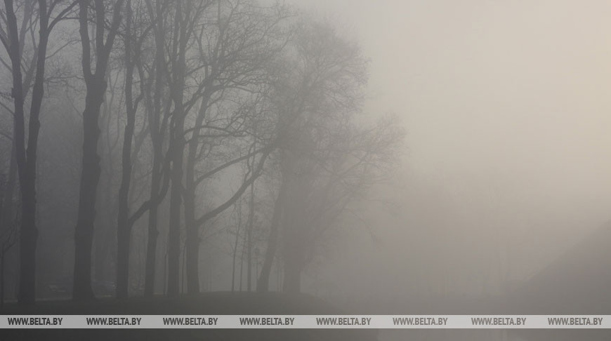 Оранжевый уровень опасности из-за тумана объявлен в Беларуси 17 декабря