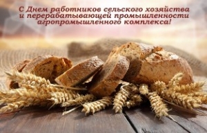 Паважаныя працаўнікі сельскай гаспадаркі, работнікі перапрацоўчай прамысловасці аграпрамысловага комплексу і ветэраны галіны!