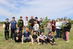 В Шарковщине появилась Аллея мира и созидания
