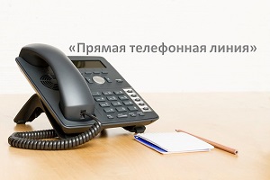 Тематическая «Прямая телефонная линия» по вопросам предпринимательской деятельности и «Единый консультационный день»